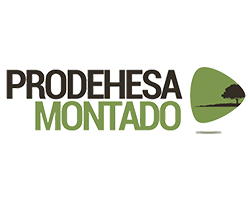 logo prodehesa